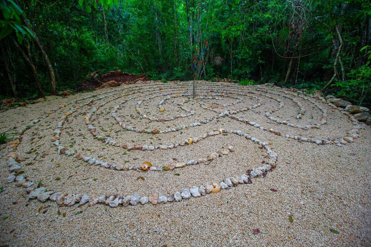 Jolie Jungle Eco Hotel (Adults Only) Leona Vicario Meksika