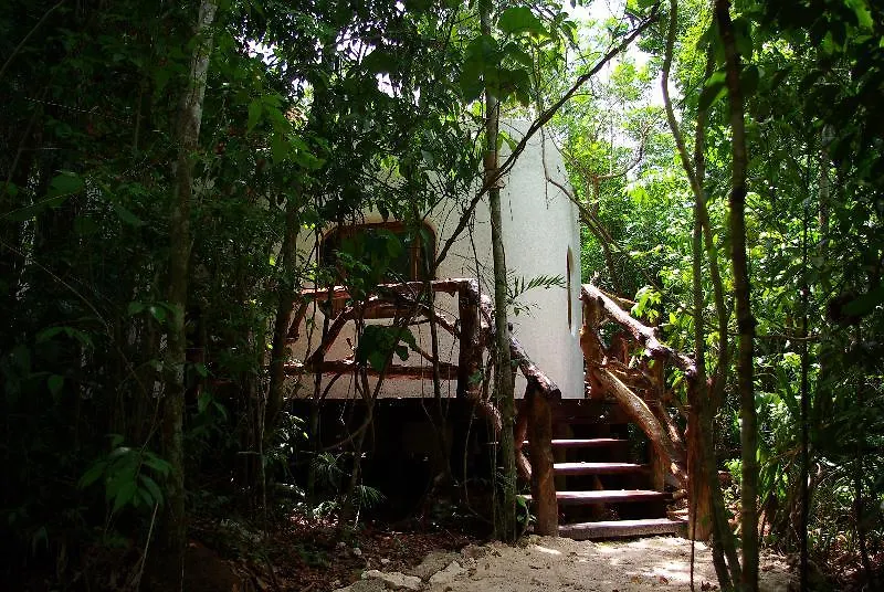 Jolie Jungle Eco Hotel (Adults Only) Leona Vicario