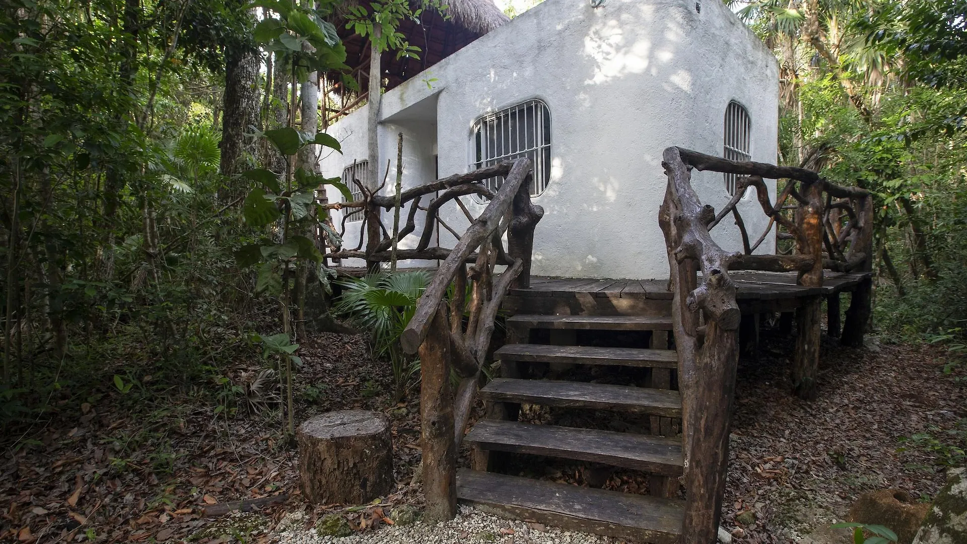Jolie Jungle Eco Hotel (Adults Only) Leona Vicario