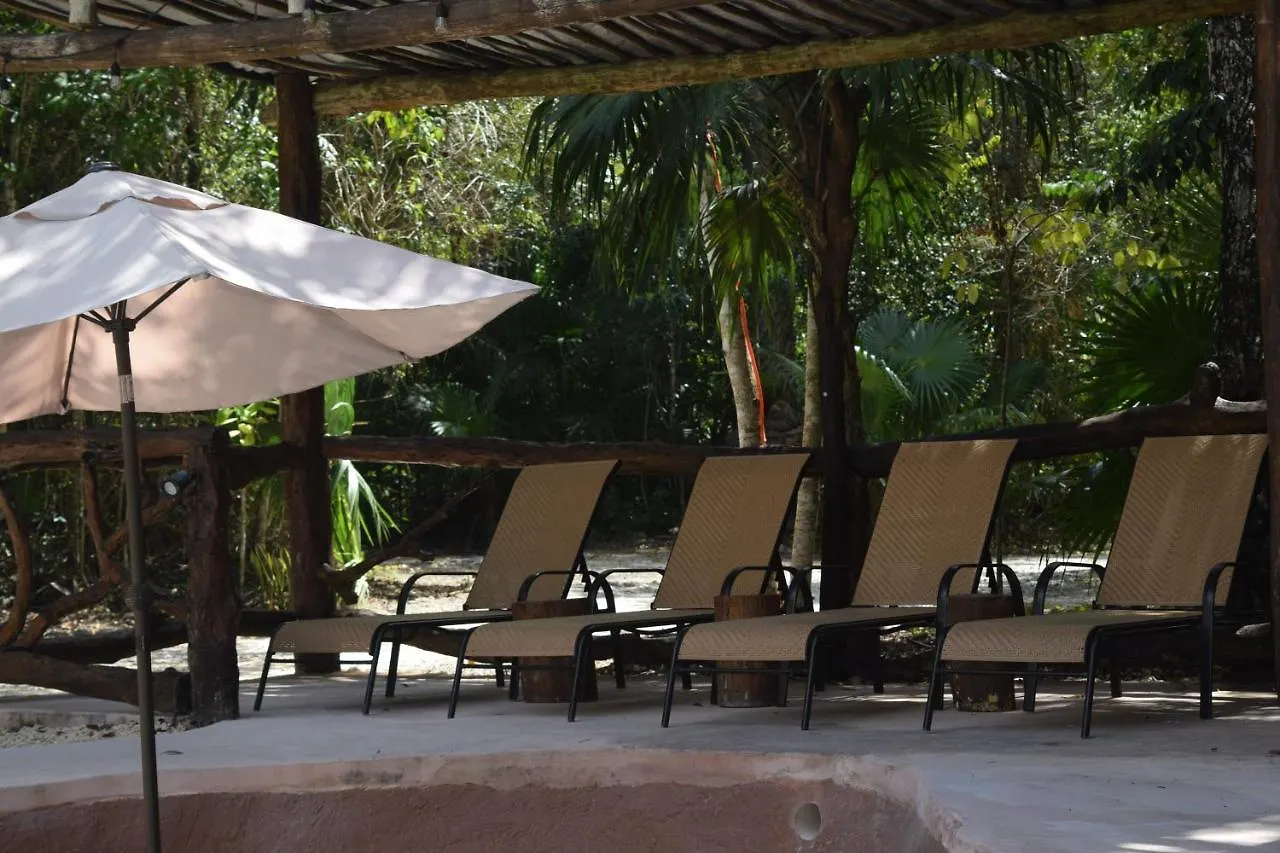 Jolie Jungle Eco Hotel (Adults Only) Leona Vicario