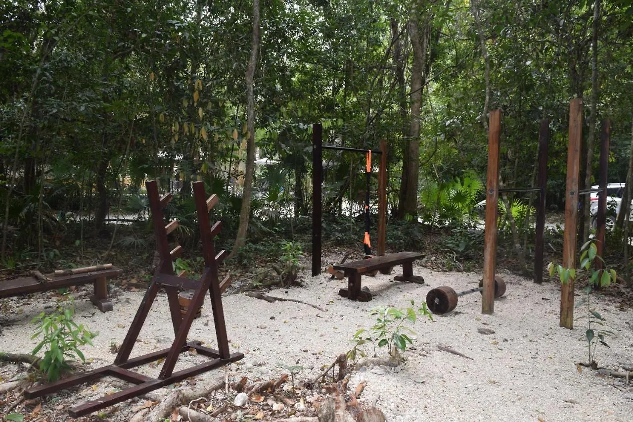 Jolie Jungle Eco Hotel (Adults Only) Leona Vicario