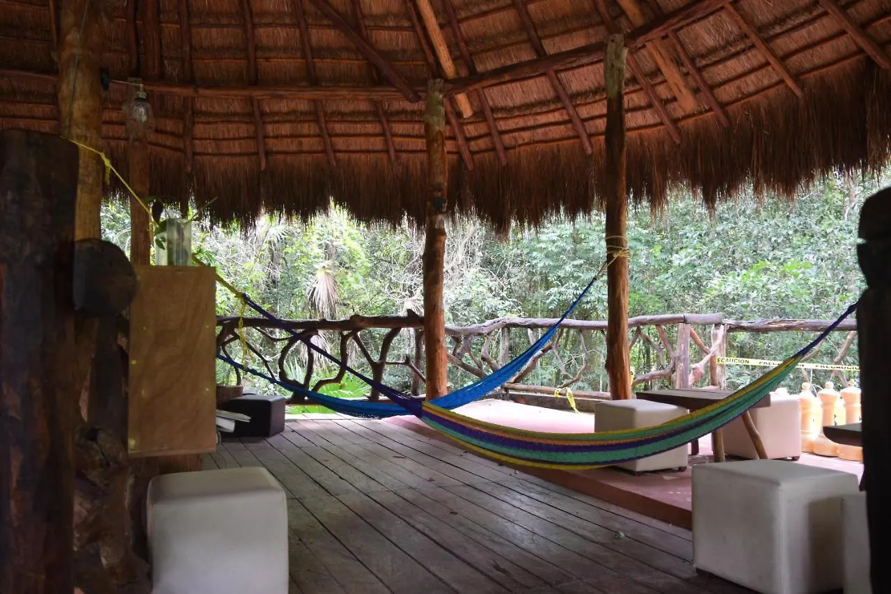 ***  Jolie Jungle Eco Hotel (Adults Only) Leona Vicario Meksika