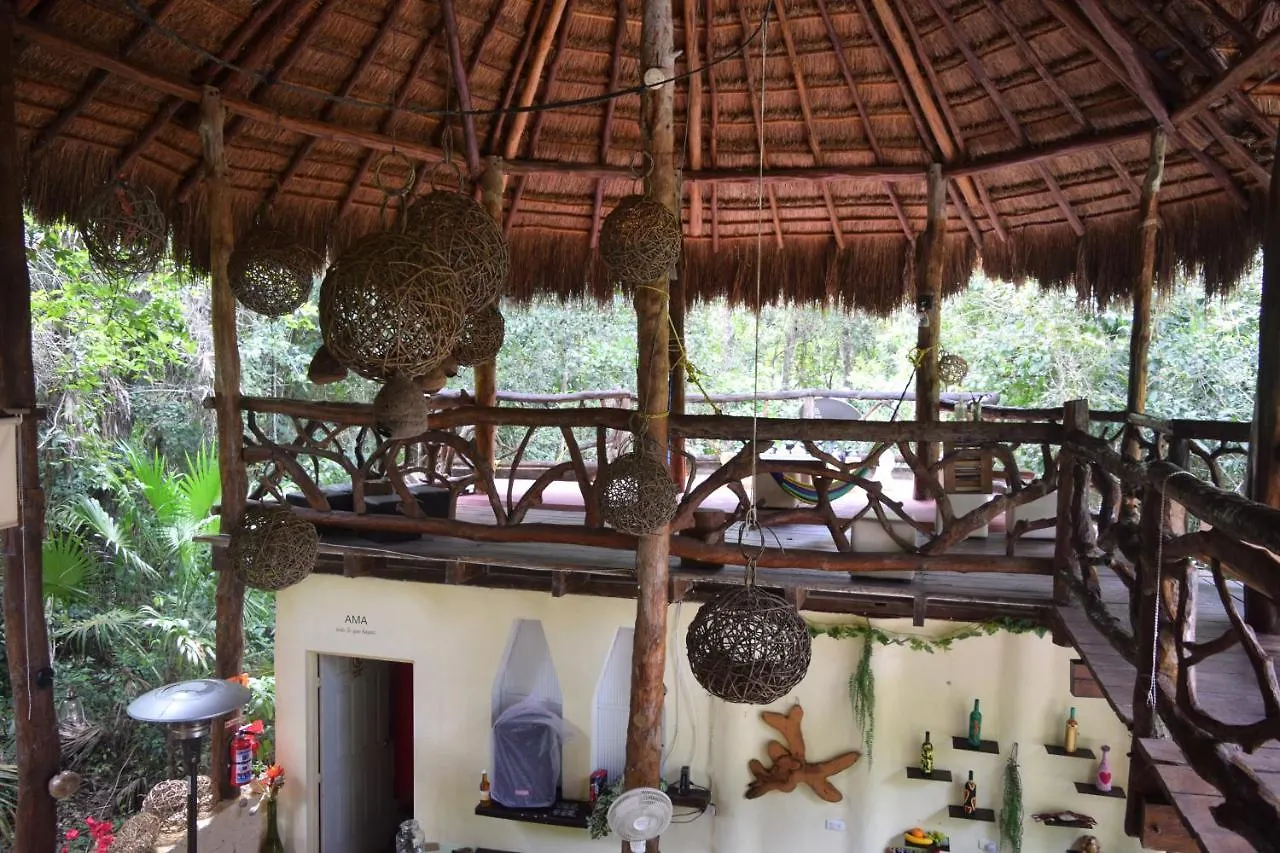 Jolie Jungle Eco Hotel (Adults Only) Leona Vicario 3*,