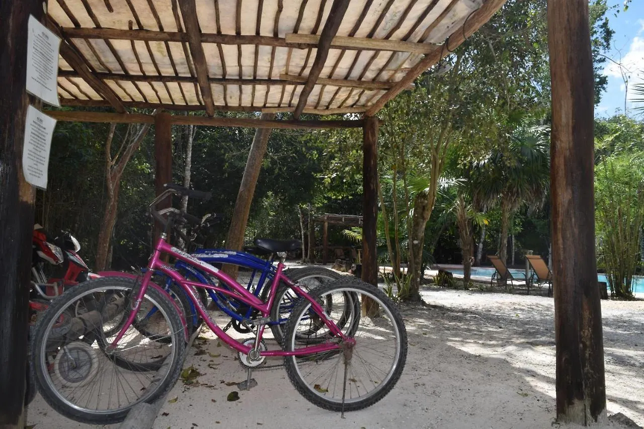 Jolie Jungle Eco Hotel (Adults Only) Leona Vicario