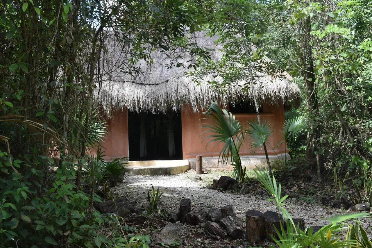 Jolie Jungle Eco Hotel (Adults Only) Leona Vicario