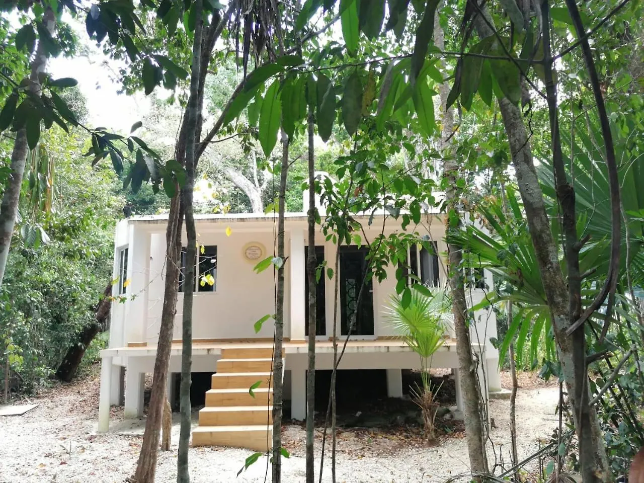 Jolie Jungle Eco Hotel (Adults Only) Leona Vicario 3*,  Mexico