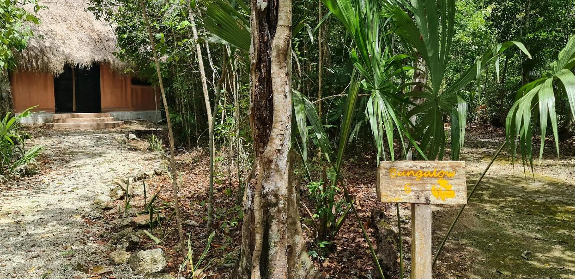 Jolie Jungle Eco Hotel (Adults Only) Leona Vicario