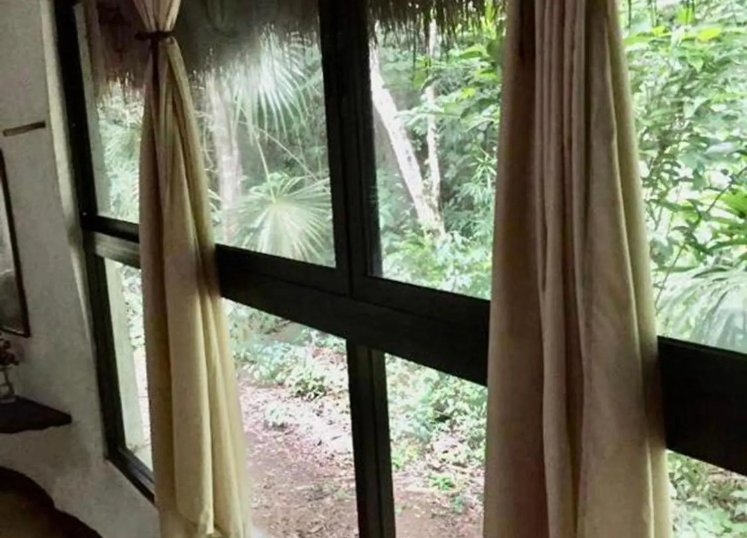 ***  Jolie Jungle Eco Hotel (Adults Only) Leona Vicario Mexico