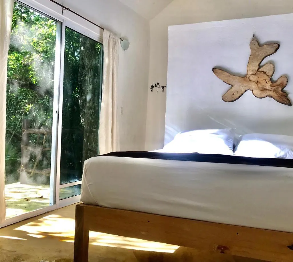 Jolie Jungle Eco Hotel (Adults Only) Leona Vicario Meksika