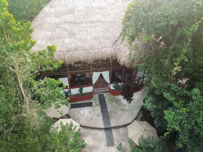 Jolie Jungle Eco Hotel (Adults Only) Leona Vicario