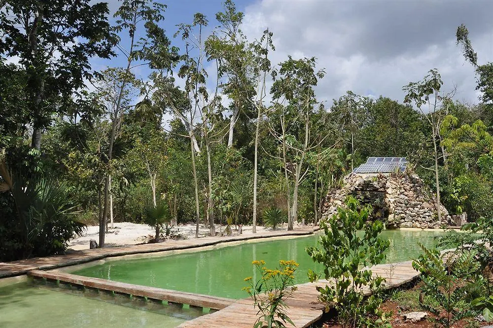 Jolie Jungle Eco Hotel (Adults Only) Leona Vicario Mexico