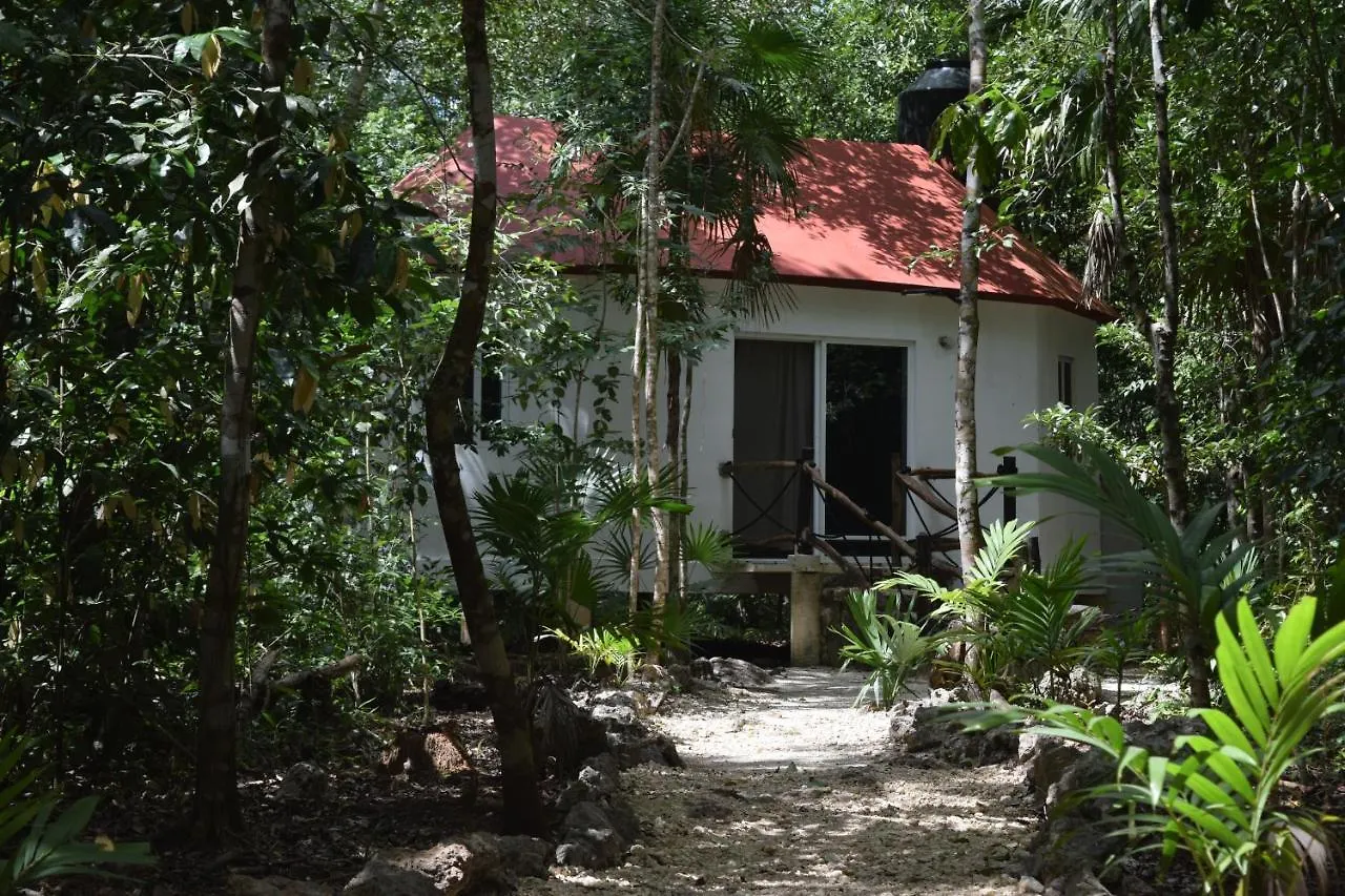 Jolie Jungle Eco Hotel (Adults Only) Leona Vicario