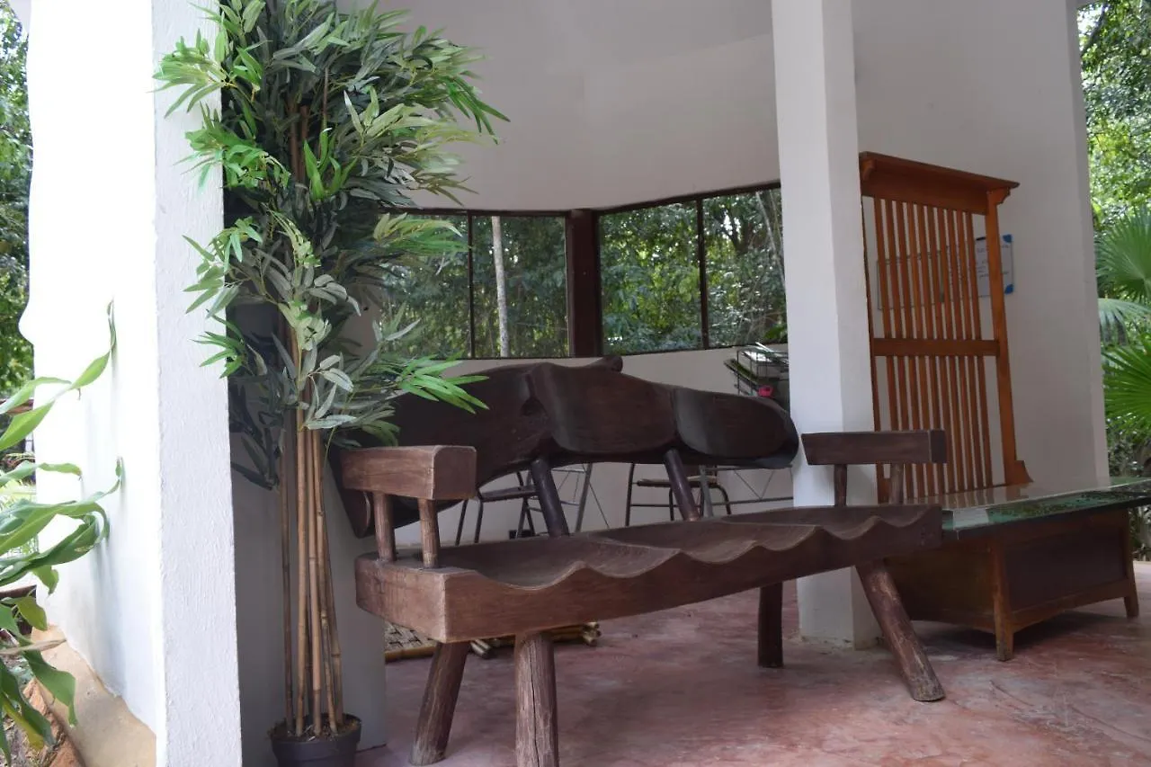 Jolie Jungle Eco Hotel (Adults Only) Leona Vicario