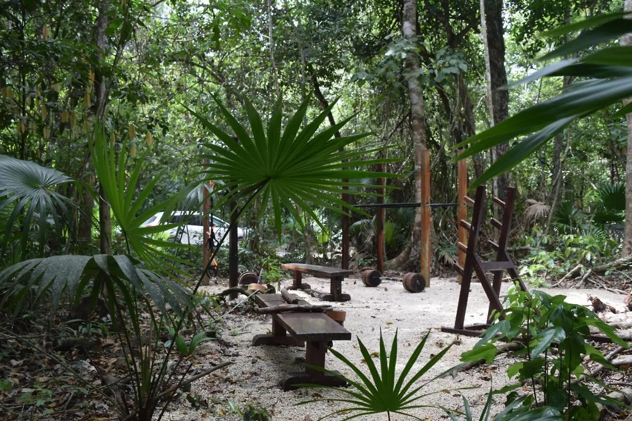 Jolie Jungle Eco Hotel (Adults Only) Leona Vicario