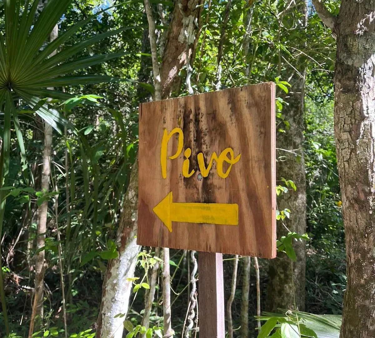 Jolie Jungle Eco Hotel (Adults Only) Leona Vicario 3*,  Mexiko