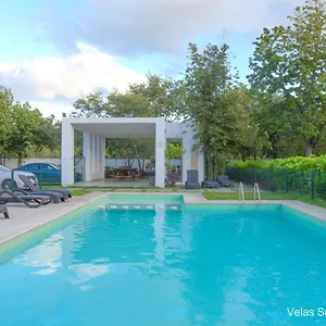https://departamento-velas-selvanova-519.allrivieramayahotels.com