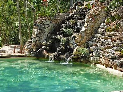 Jolie Jungle Eco Hotel - Ruta de los Cenotes Leona Vicario