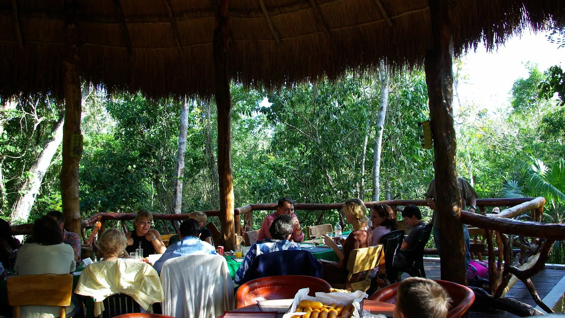 Jolie Jungle Eco Hotel - Ruta de los Cenotes Leona Vicario