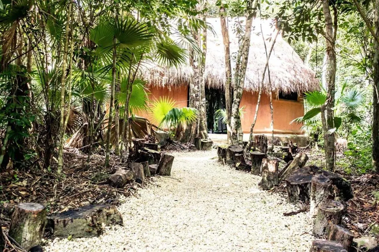Jolie Jungle Eco Hotel (Adults Only) Leona Vicario