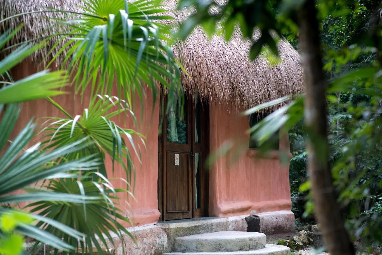 Jolie Jungle Eco Hotel (Adults Only) Leona Vicario 3*,  Mexique